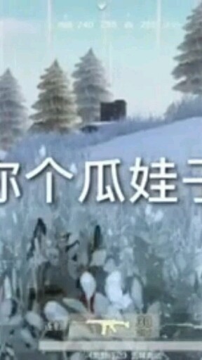 你个瓜娃子