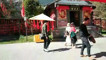 主播去求婚姻
