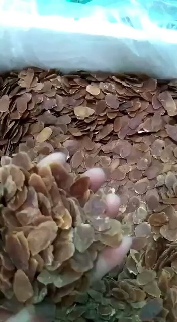 无糖红参片