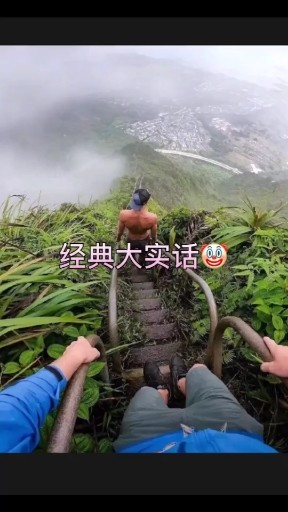 经典大实话