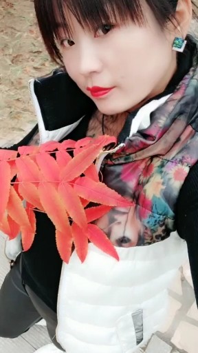 流浪