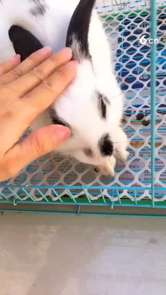 已经拍的怀疑人生了。哈哈哈