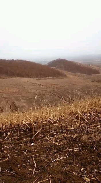 翻山越岭拉点扶植土真不意。