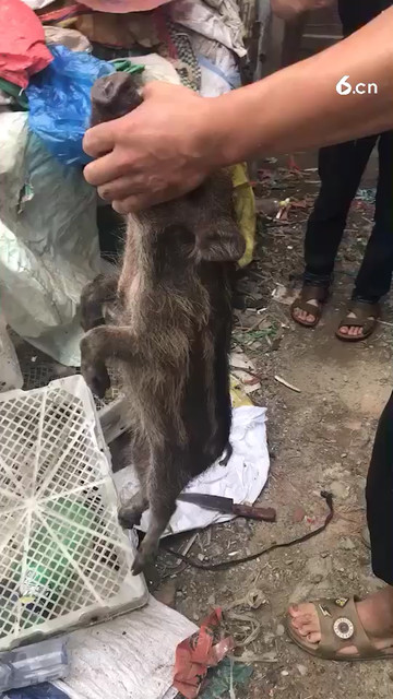 荒野行动