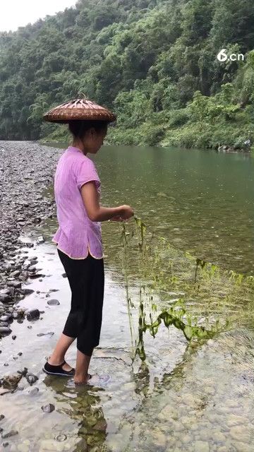 苗乡户外生活林阿妹！野生鱼