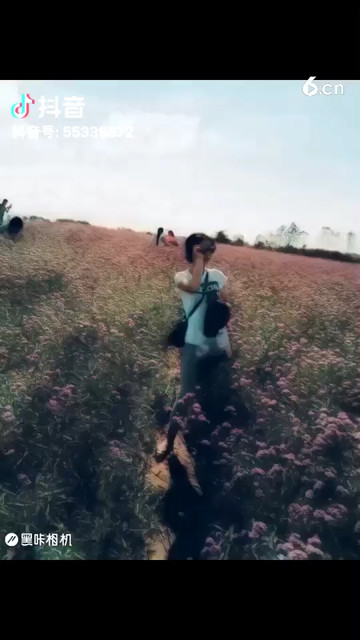 上半年再见，下半年你好！