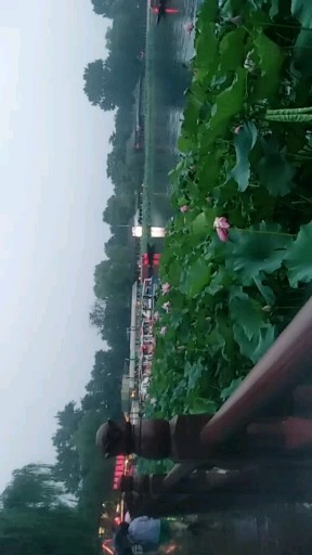 在北京后海酒吧
