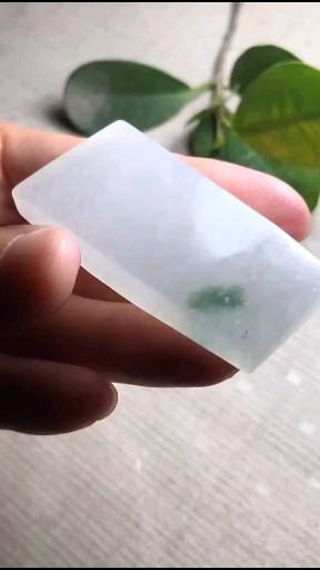每日更新