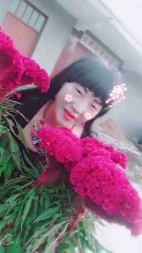 看我拍的视频好看吧人和花