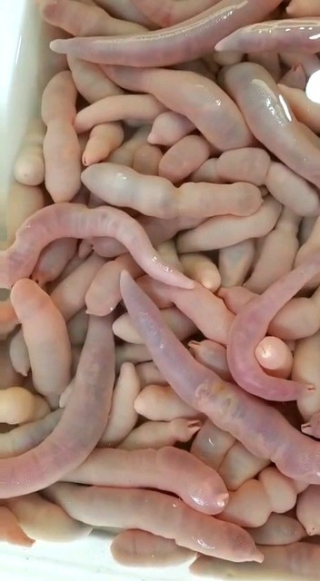 有认识朋友吗喜欢加关注吧😄