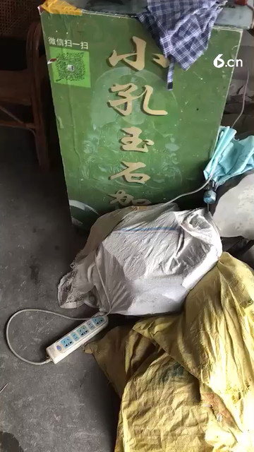 满豆色
