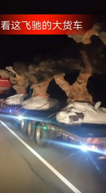 🇨🇳美丽的风景线🇨🇳