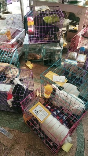 发货，发货