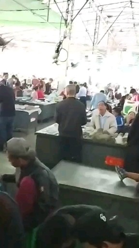 姐告早市