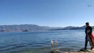 美丽的向往
