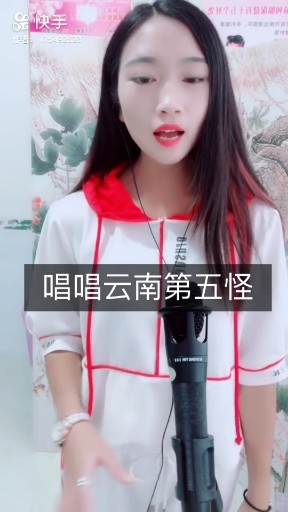 云南十八怪