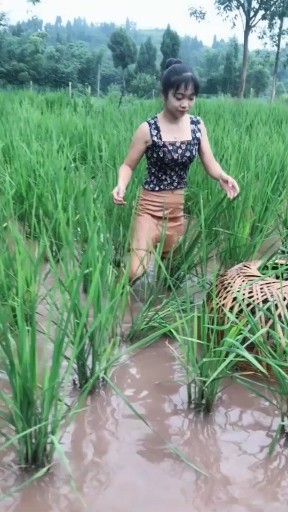 抓鱼