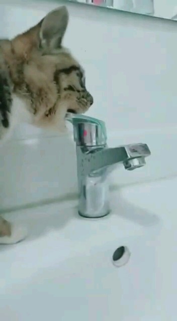 聪明吧