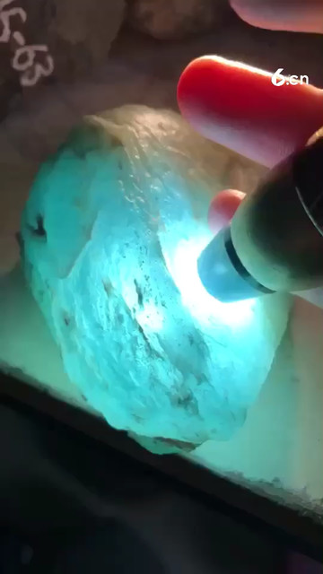 关注