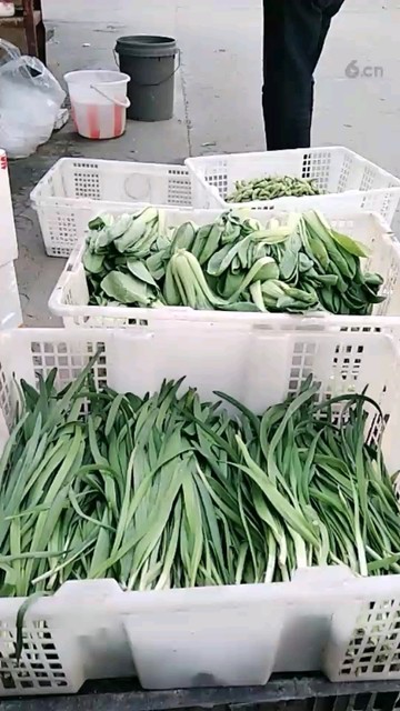 很快恢复直播