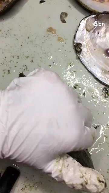 绝对好看