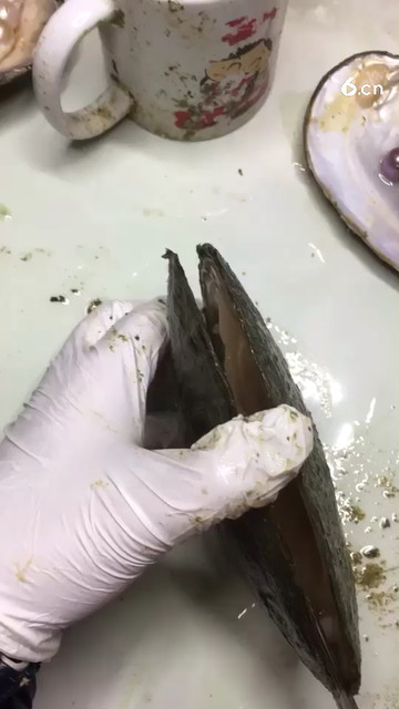 多珠哦