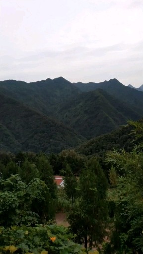 终南山古楼观