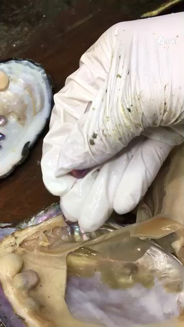 平安扣珍珠见过有没有