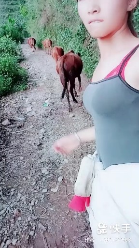 枝欣