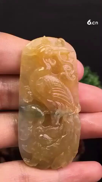 黄翡孔雀