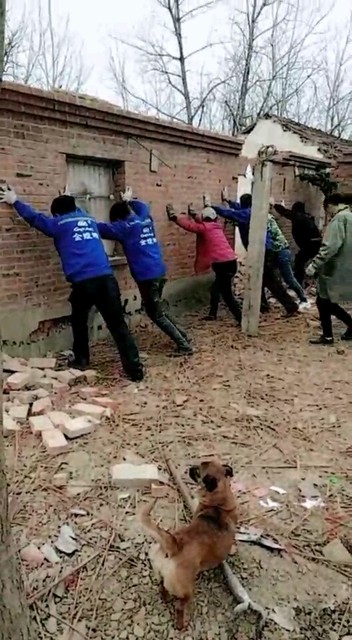 墙倒众人推