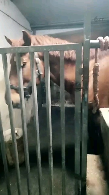 小宝贝们