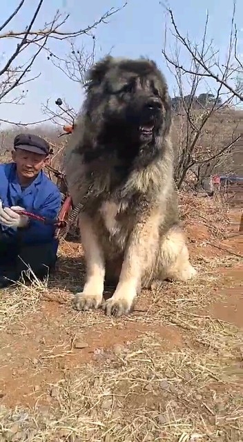绝对满满的安全感