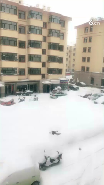 鹅毛大雪，可惜拍不出效果。