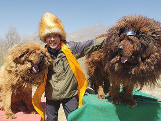 瞐k8的主播照片