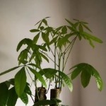 悄悄来静静听默默走海报