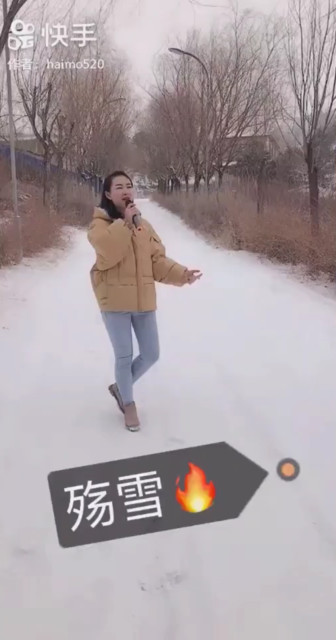 殇雪
