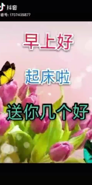 旅游