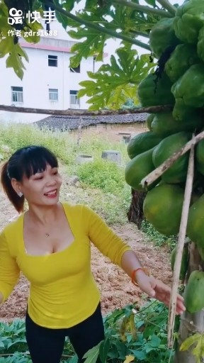 生活的滋味