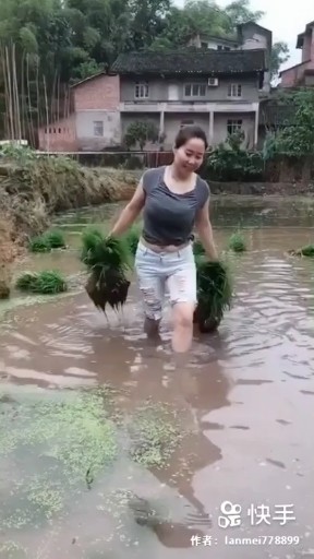 忙忙碌碌又一天