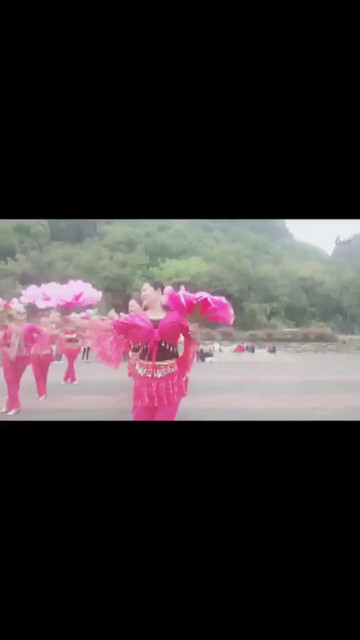 小江贵州妇动