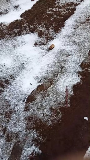 哪区5分钟的雪