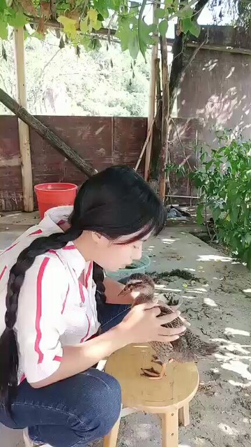 😂😂