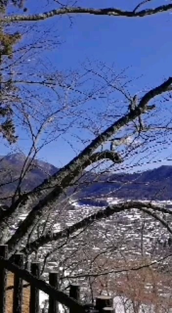 日本富士山新仓浅间公园