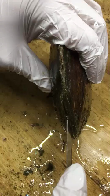 你了解这个吗？看过的宝宝留个言