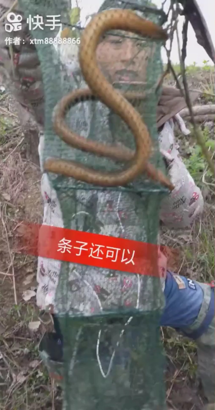 收获还可以