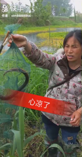 心凉了