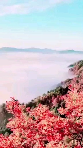 伊春