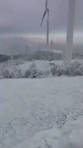 你那里下雪了吗