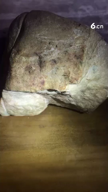 涨